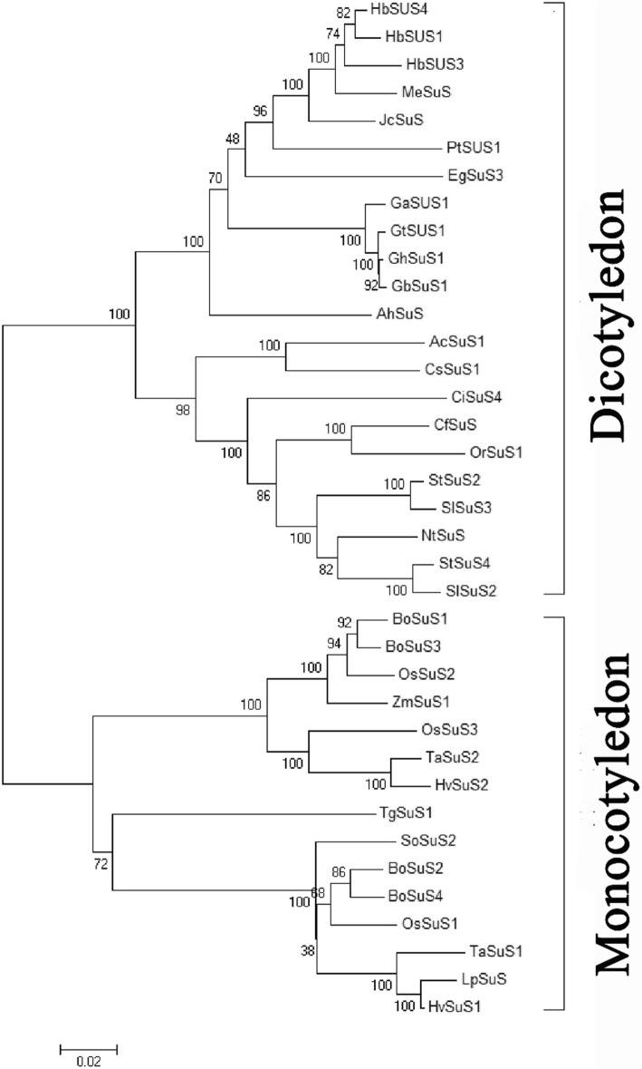 Fig. 2