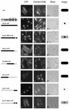 FIG. 4.