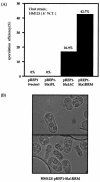 FIG. 5.