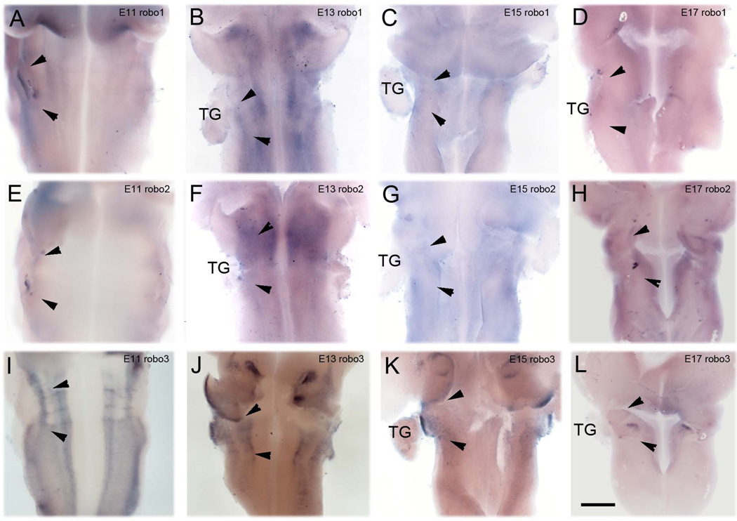 Figure 6