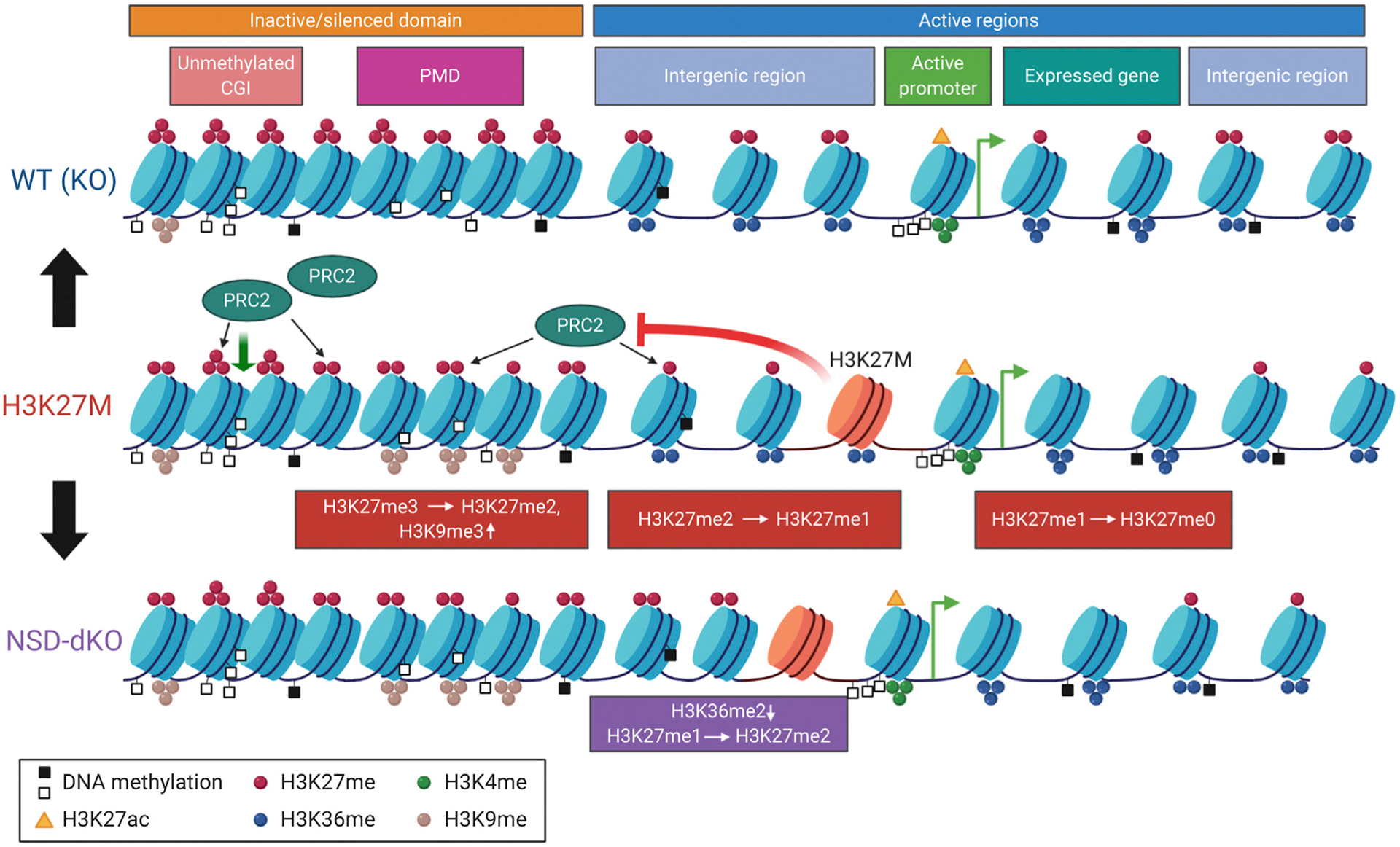 Figure 7.