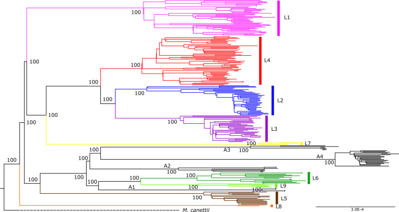 Fig. 2.