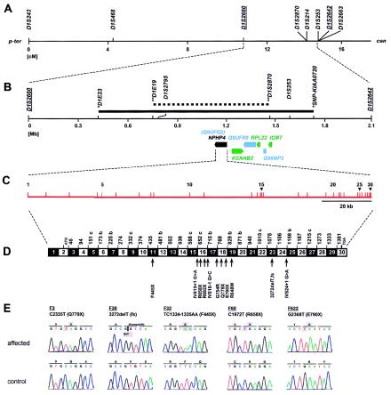 Figure  2