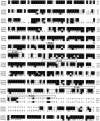 Figure B