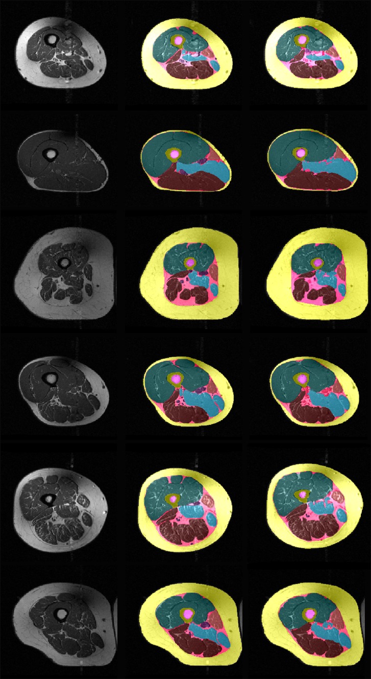 Fig. 7