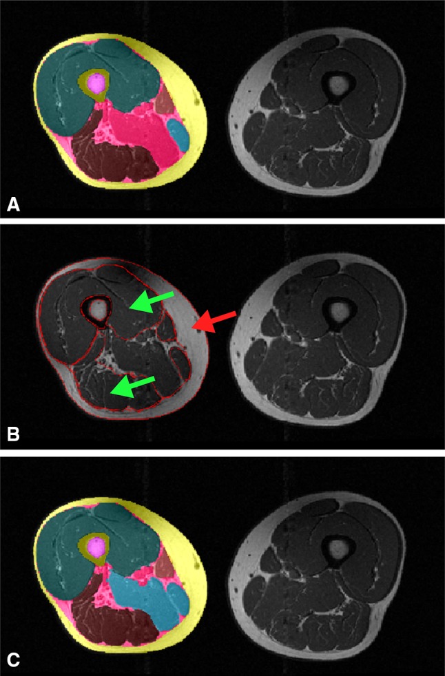 Fig. 3