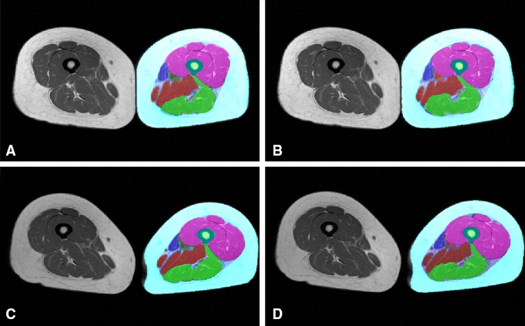 Fig. 9