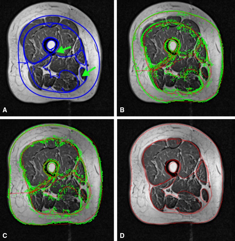 Fig. 2