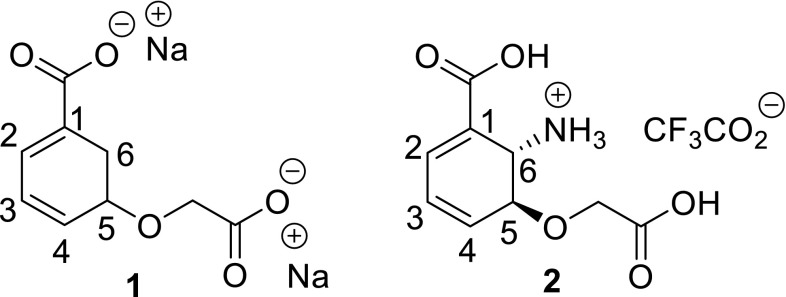 Fig. 1