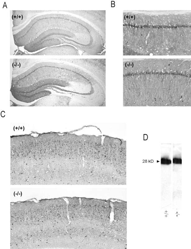 Fig. 9.