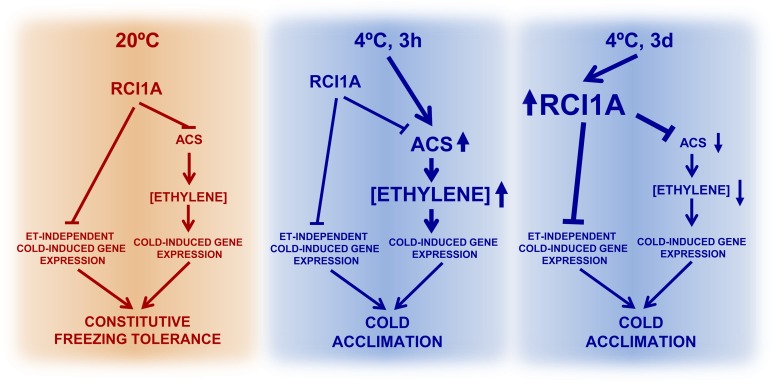 Figure 10.