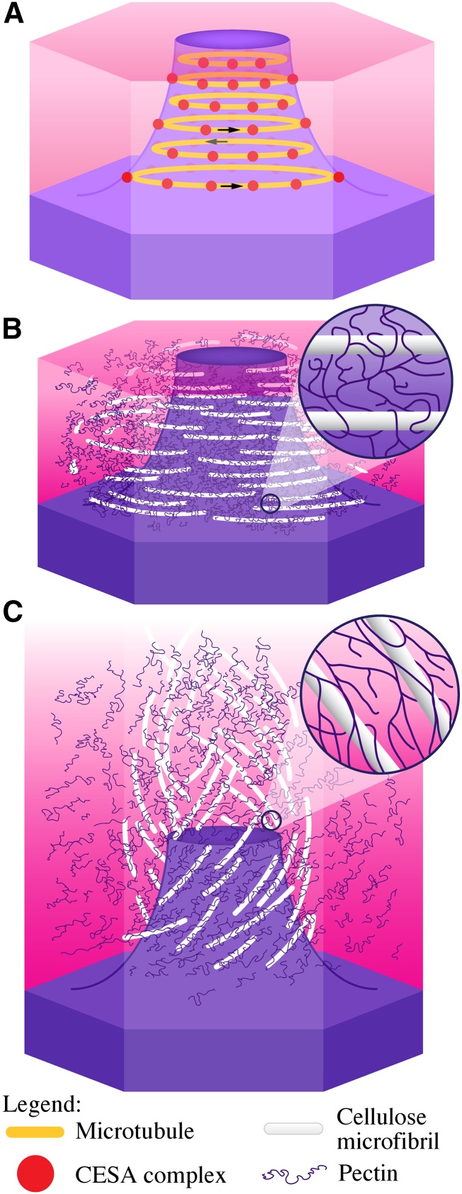 Figure 9.