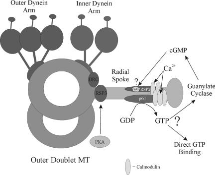 Figure 9.