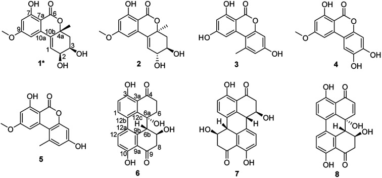 Fig. 5