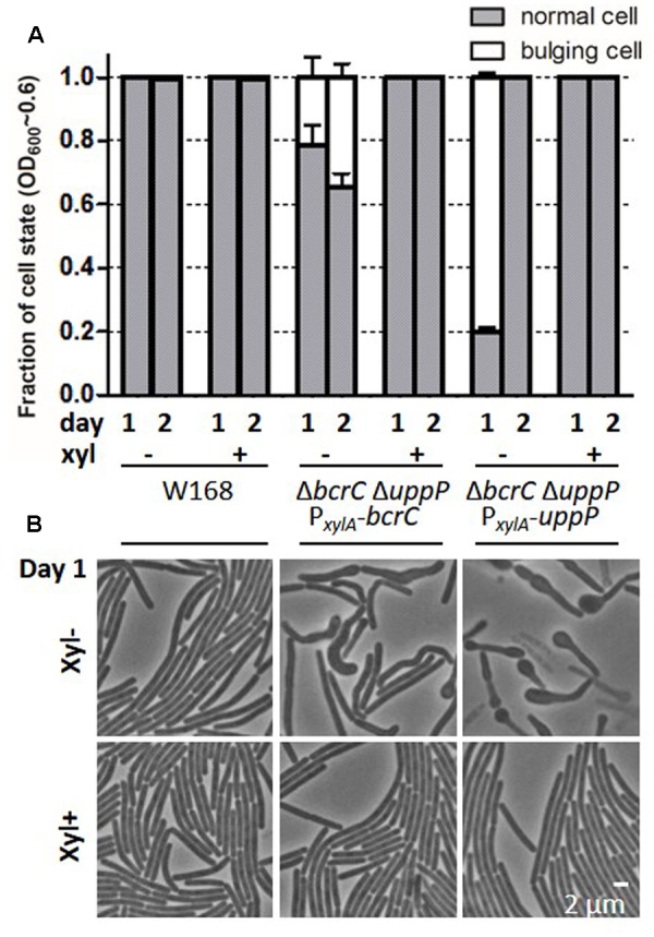 FIGURE 3