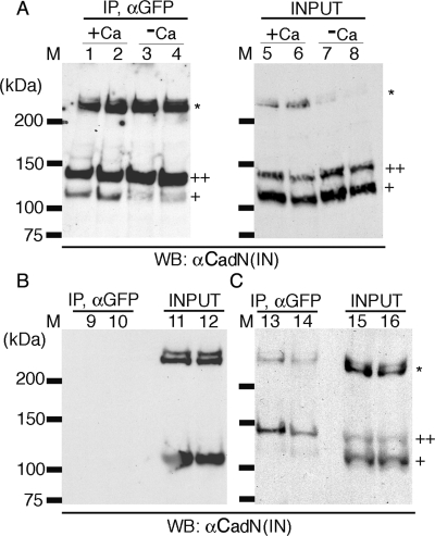 FIG. 7.