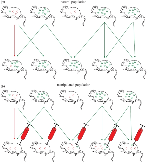 Figure 2.