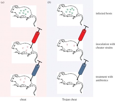 Figure 3.