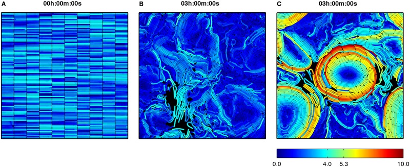 Fig 3