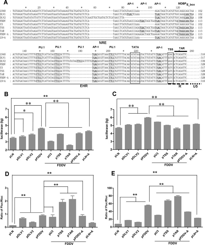 FIG 6