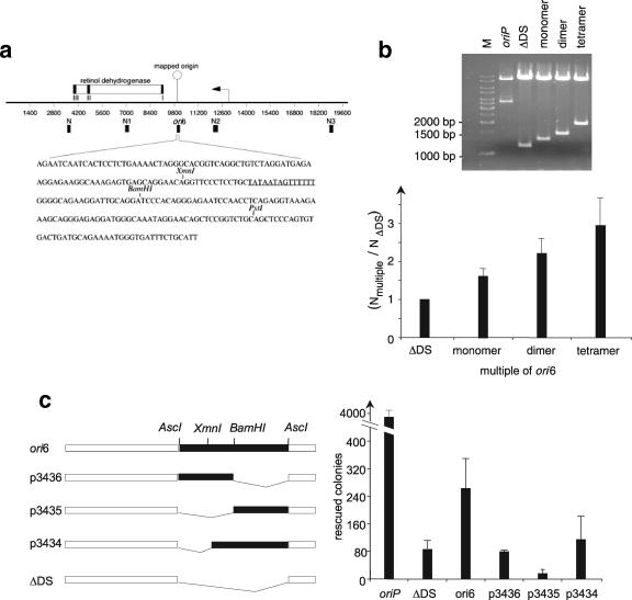 FIG. 4.