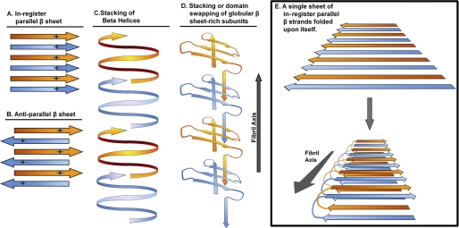 FIGURE 1.