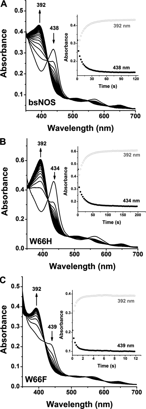 FIGURE 10.