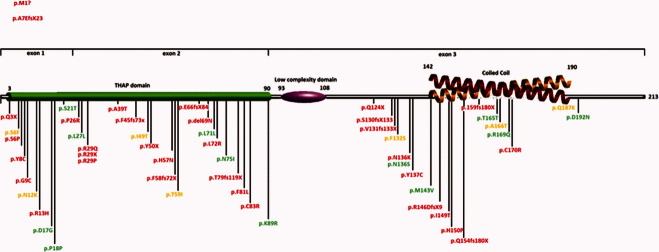 FIG. 1