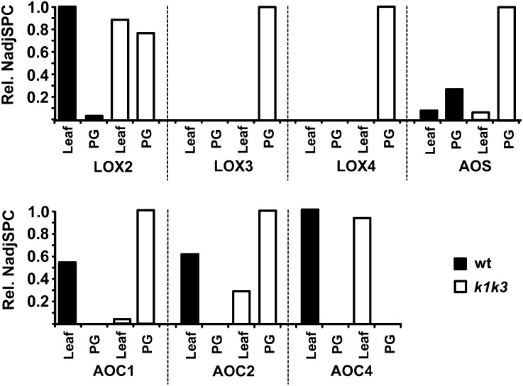 Figure 9.