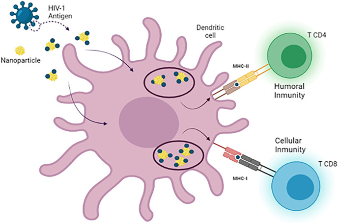 Figure 4