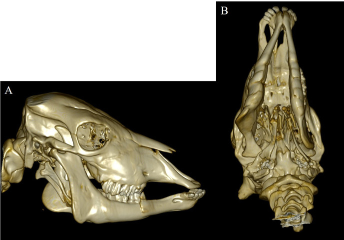 Fig. 2.