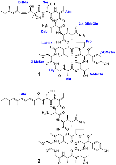 graphic file with name nihms-1574565-f0002.jpg