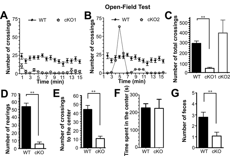 Fig.2.