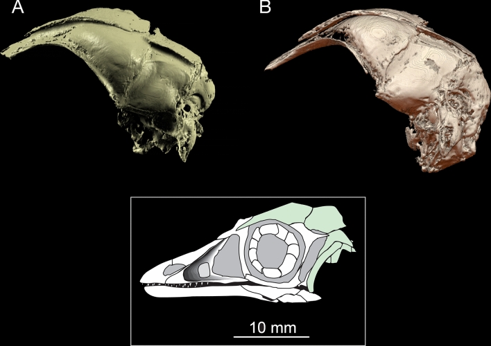 Figure 7