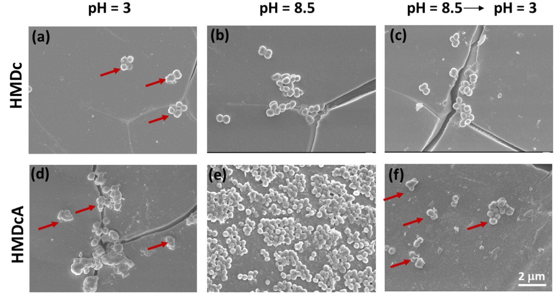 Figure 9.