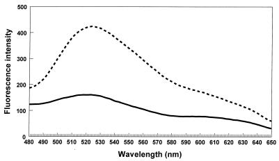 FIG. 6