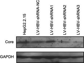 Fig. 6