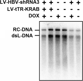 Fig. 9