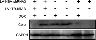 Fig. 8