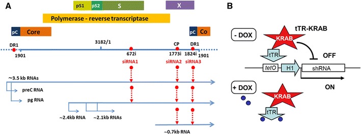 Fig. 1