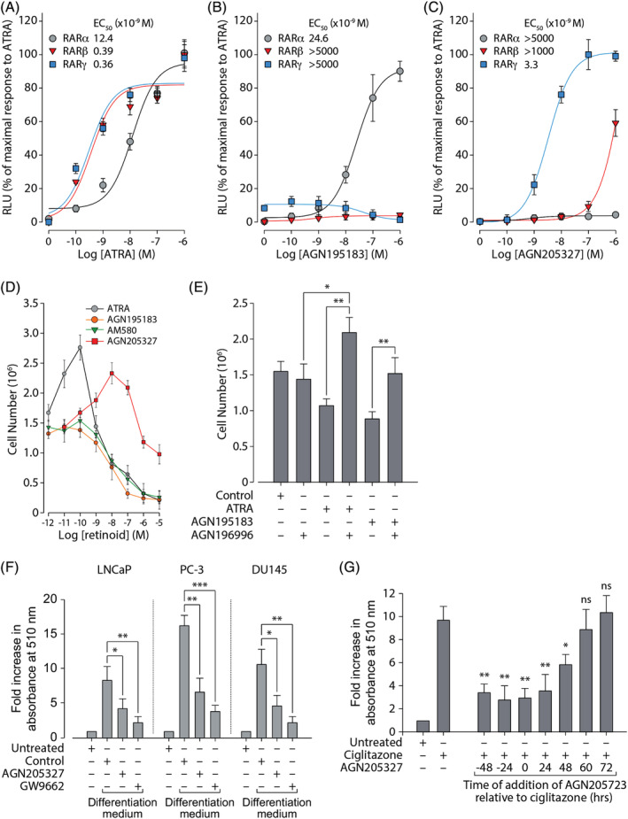 FIGURE 3