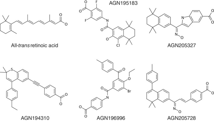 FIGURE 1