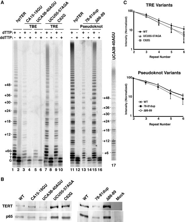 FIG. 6.