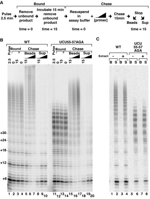 FIG. 9.