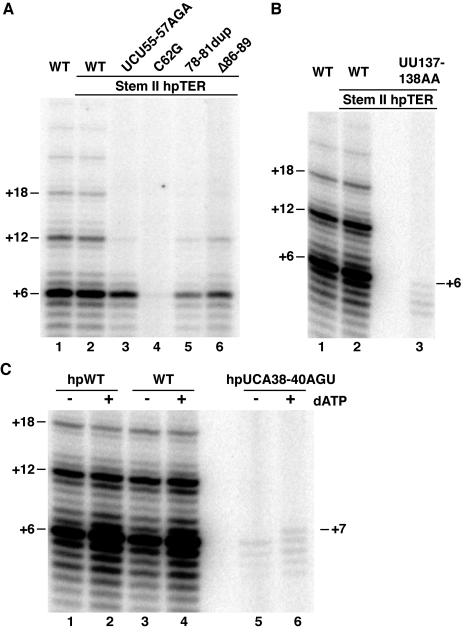 FIG. 4.