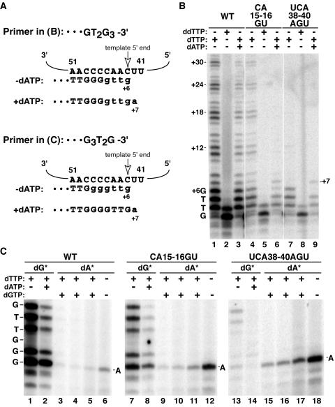 FIG. 7.