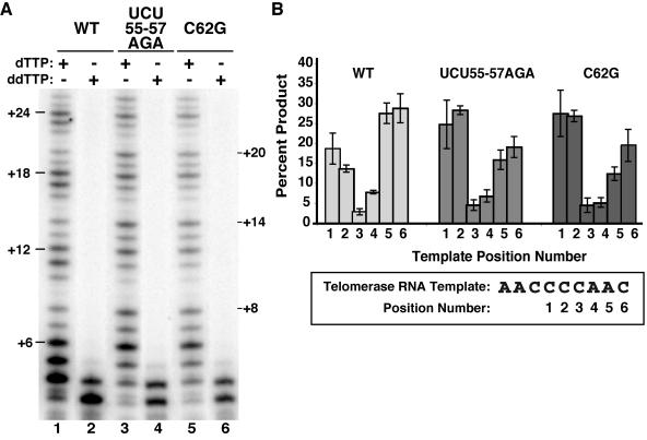 FIG. 8.