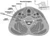 FIGURE 21