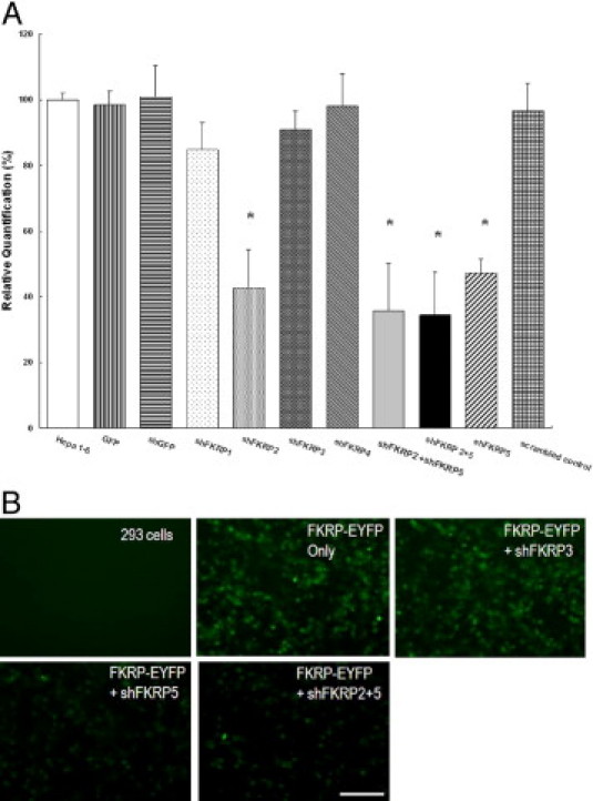 Supplemental Figure 2