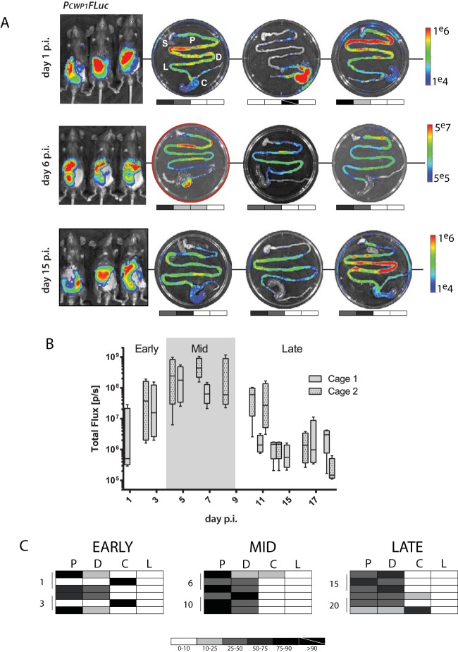 FIG 3 